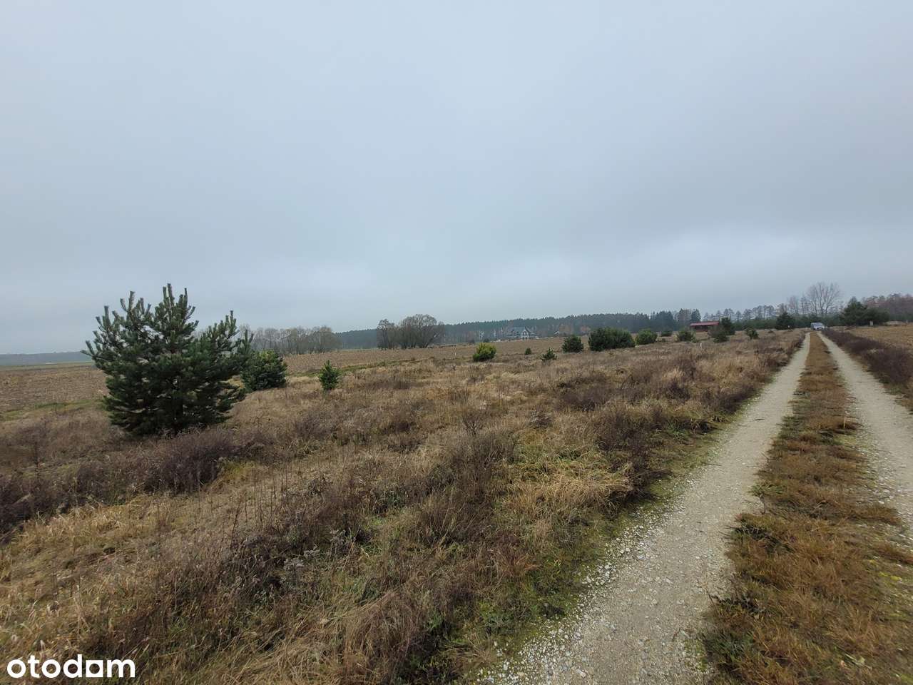 GOŁĄBKI na sprzeedaż działka budowlana 950m2-12