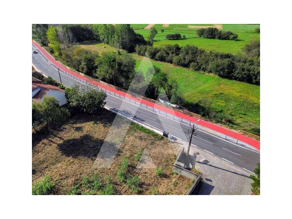 Terreno com 11.000 m² em Frossos - Albergaria-a-Velha - Grande imagem: 5/16