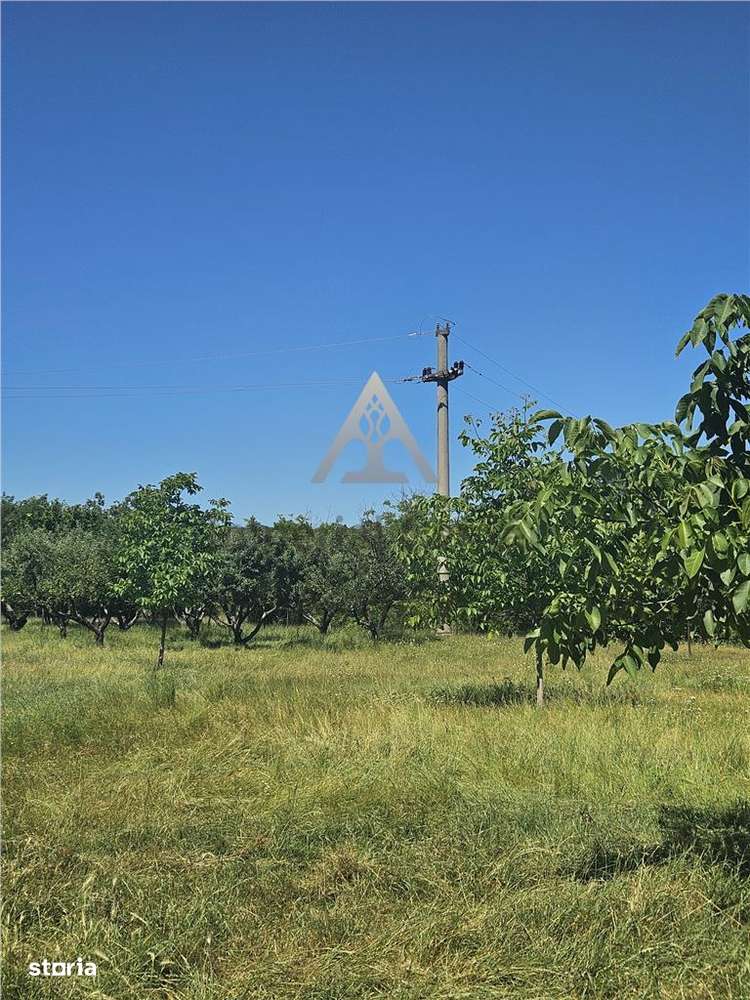 TEREN INTRAVILAN DEVANZARE 33161 MP DE VANZARE TARGU OCNA - Imagine principală: 5/20