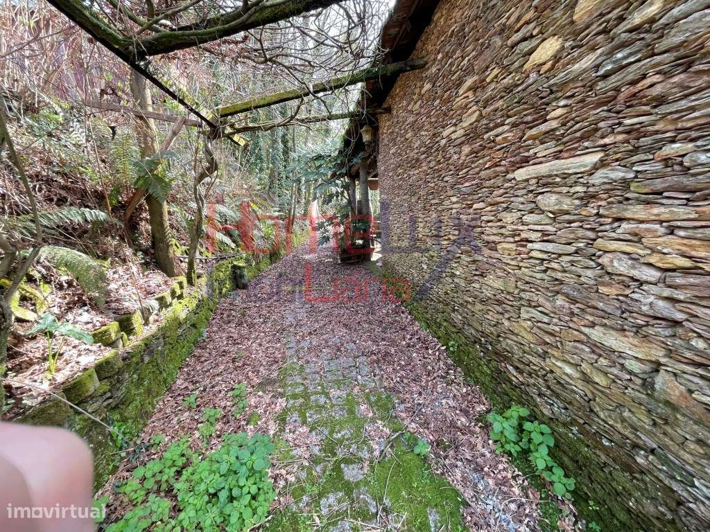 Quinta junto ao Rio Caima-14