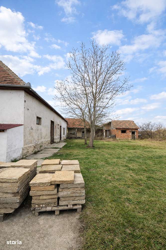 Spatiu Comercial de vanzare - Imagine principală: 2/12