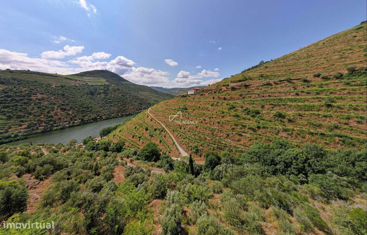 QUINTA VINÍCOLA EXCLUSIVA NO DOURO COM CASA DE LUXO - Grande imagem: 4/27