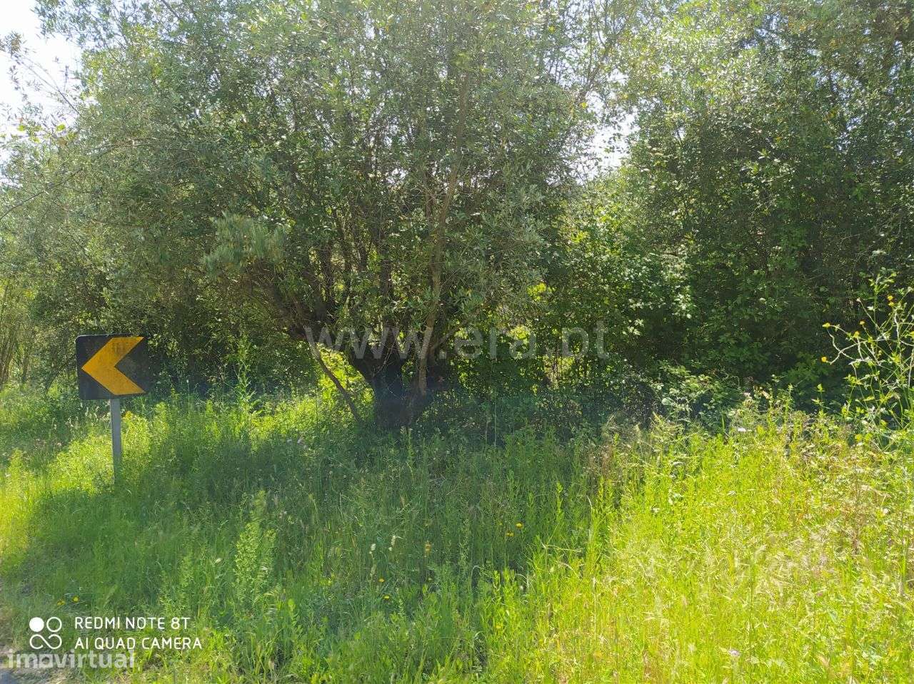 Terreno Para Construção em Ourém! - Grande imagem: 2/3