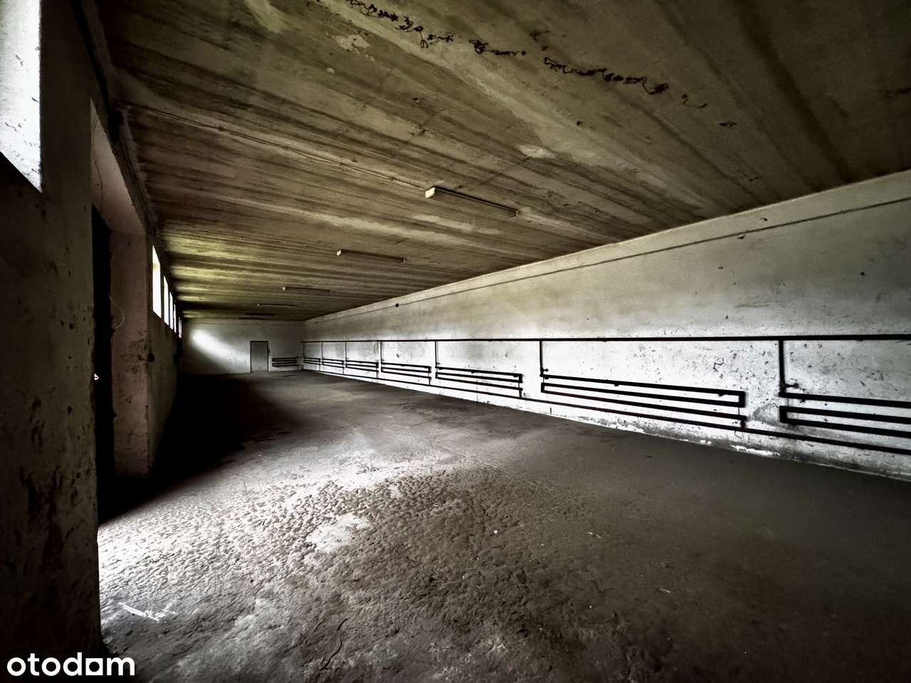 Hala/Magazyn, 320 m², Kłomnice-3