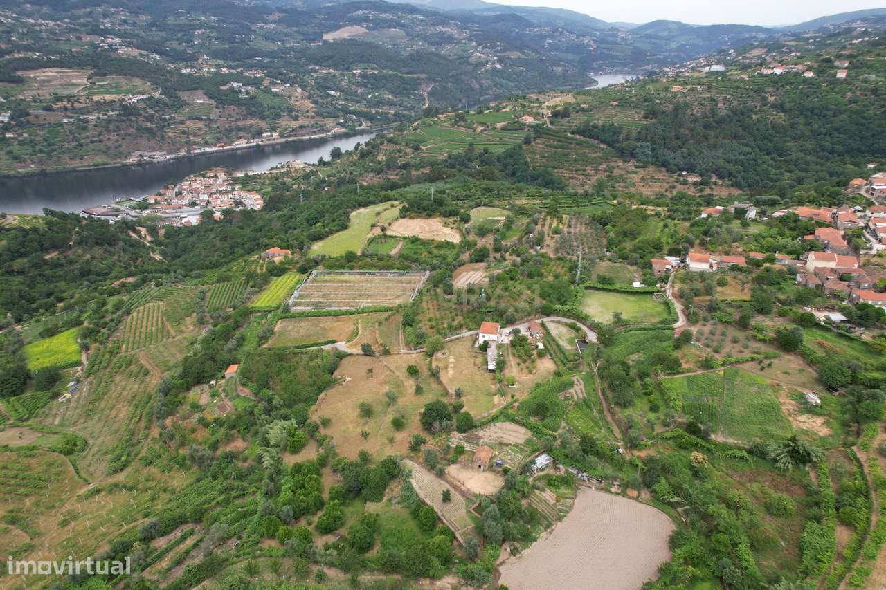 Quinta em Miomães, Resende | Um refúgio rural com cerca de 4 hectares-17