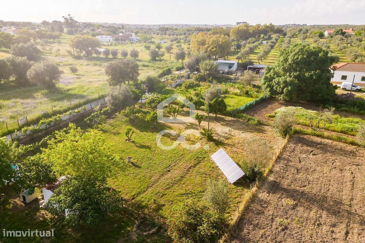 Quinta de 9250m2 c/ Moradia T4 térrea, anexo e armazém | Azaruja-48