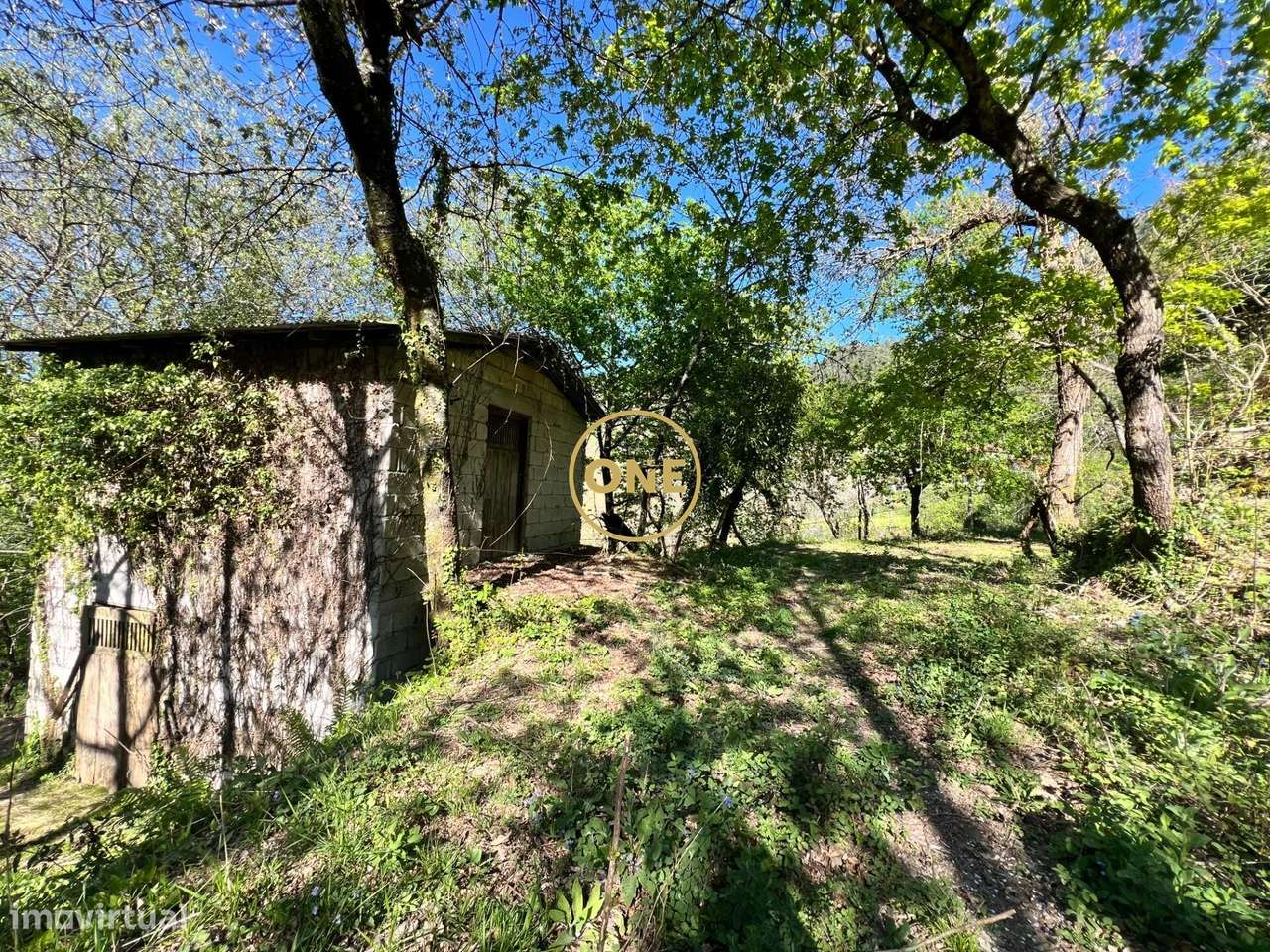 Terreno Agrícola com Potencial de Agro-turismo em Terras de Bouro - Grande imagem: 4/18