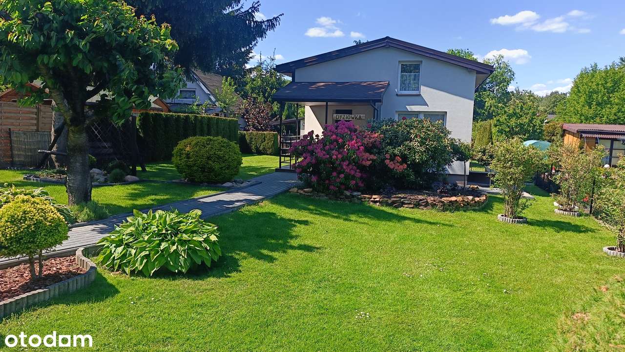 Piękna działka ROD z wyremontowanym domem! Nowosolna!