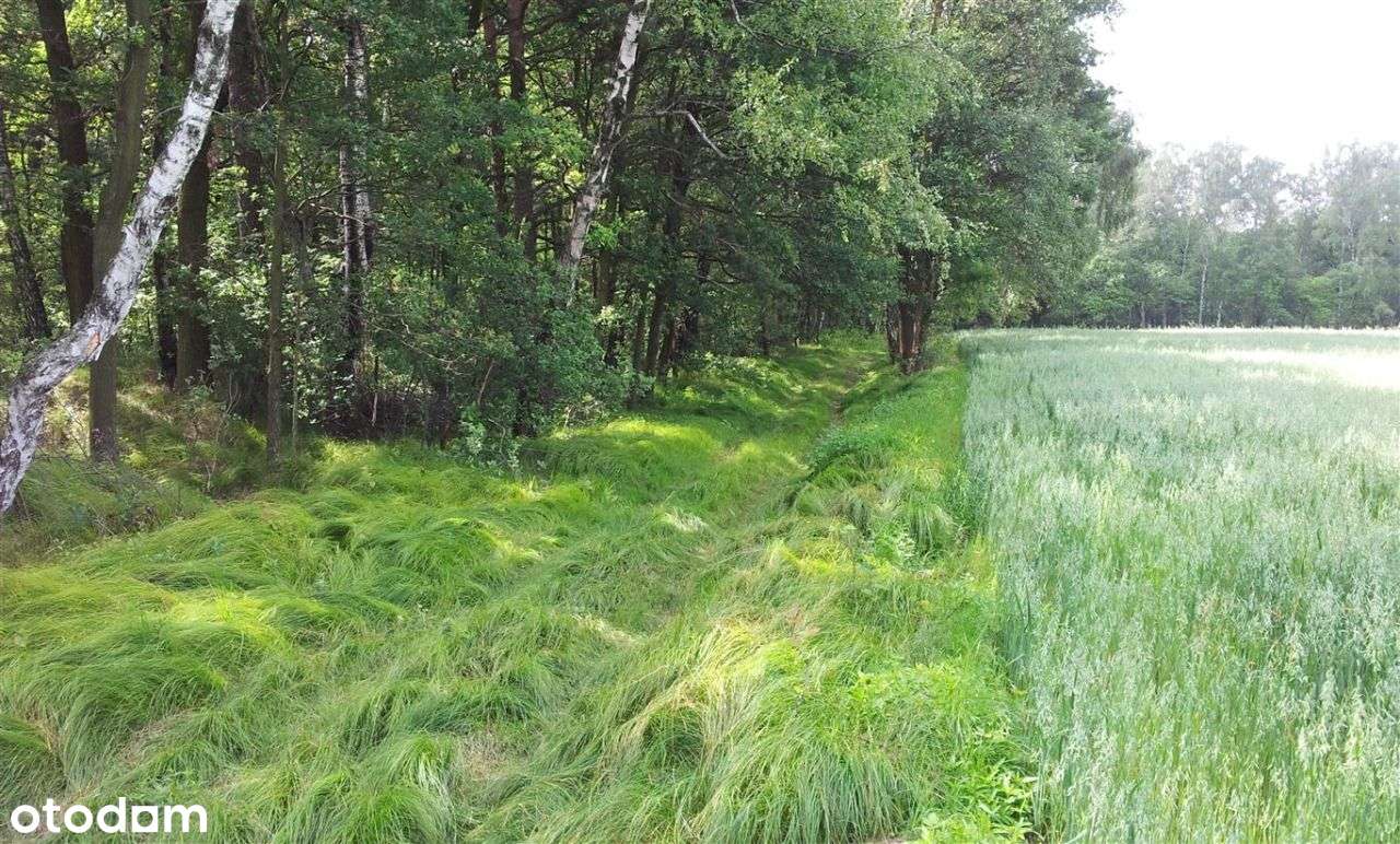 Atrakcyjna działka-6