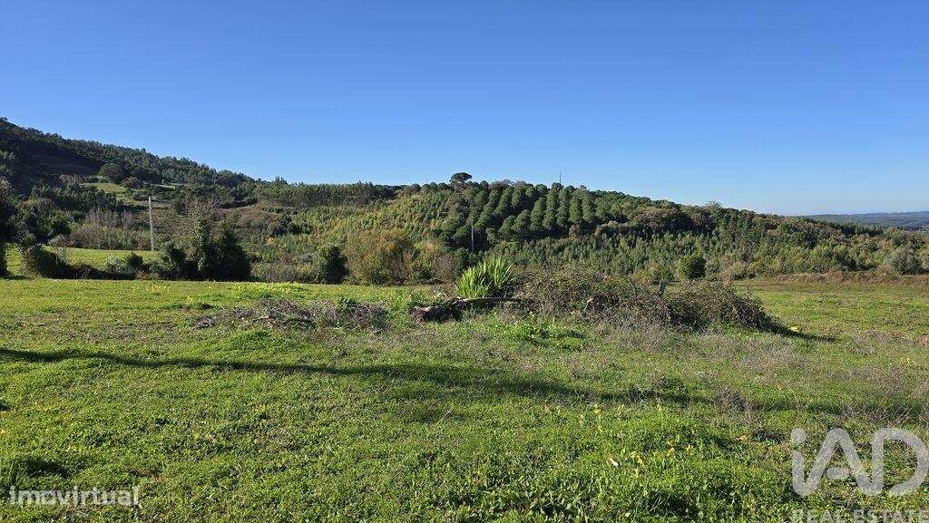 Terreno para construção em Lamas e Cercal - Grande imagem: 4/6