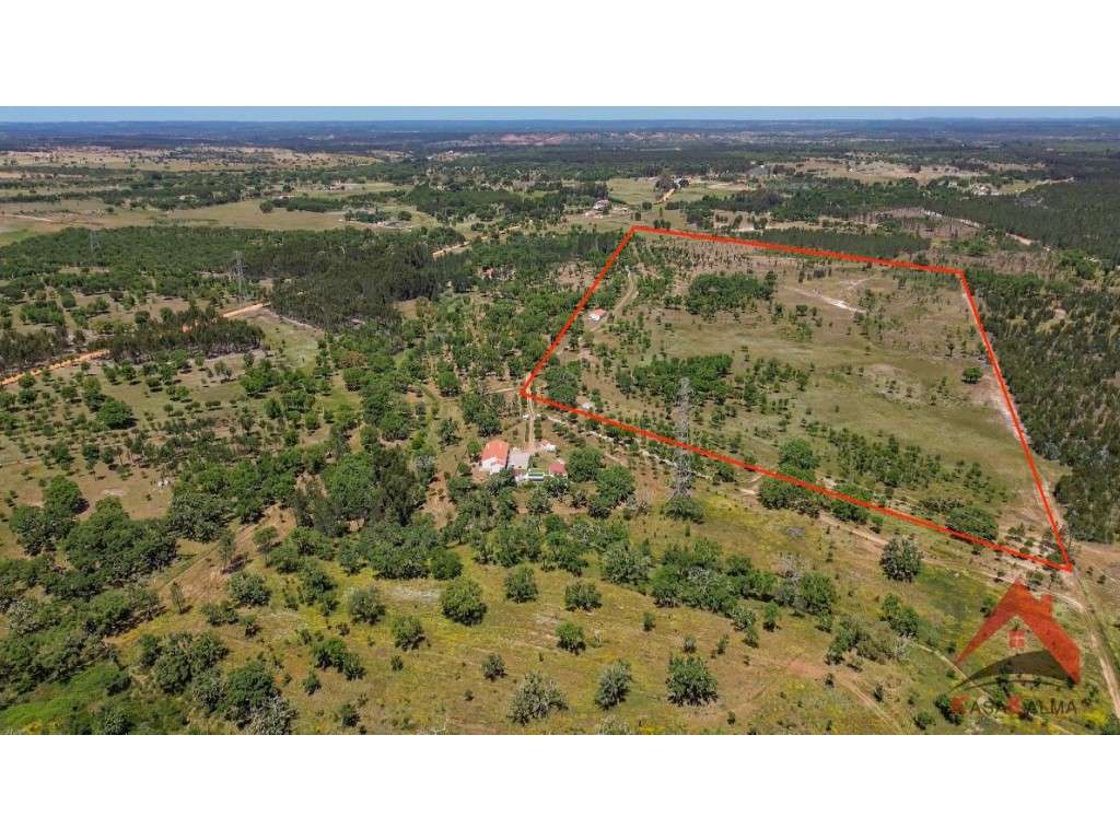 HERDADE COM 18,7 HA | TURISMO AGRICULTURA ENERGIA SOLAR - Grande imagem: 2/28