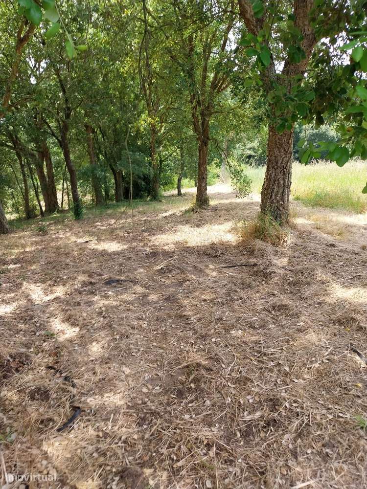 Terreno Para Construção  Venda em Bárrio,Alcobaça - Grande imagem: 4/7
