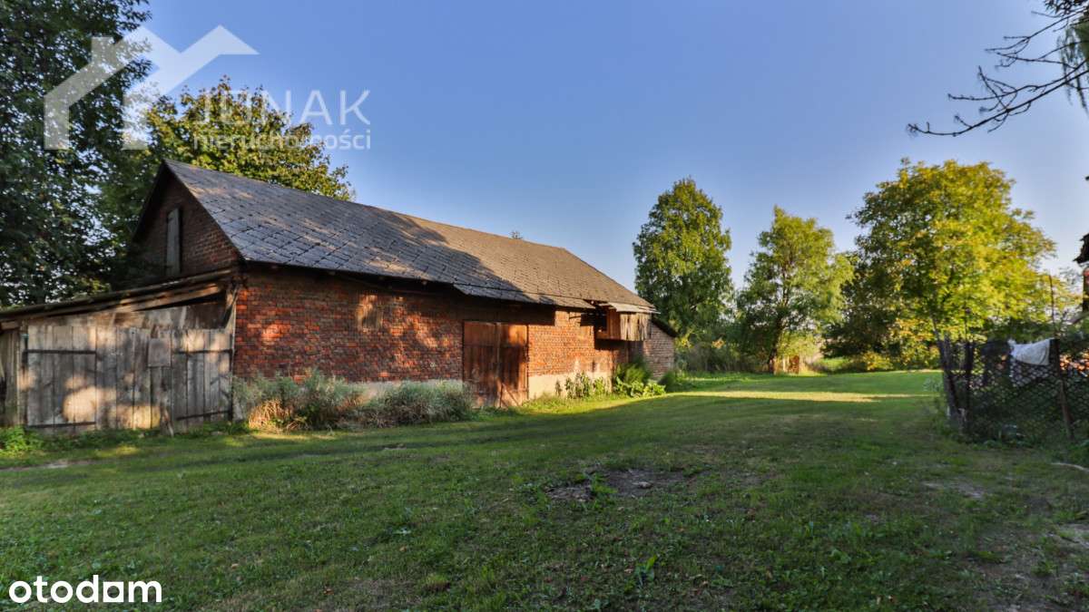 Siedlisko otoczone polami i łąkami - Pełny obrazek: 5/20