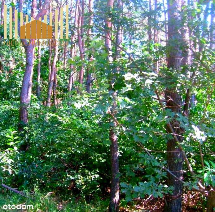 Sulejówek, działka 2500m2-0