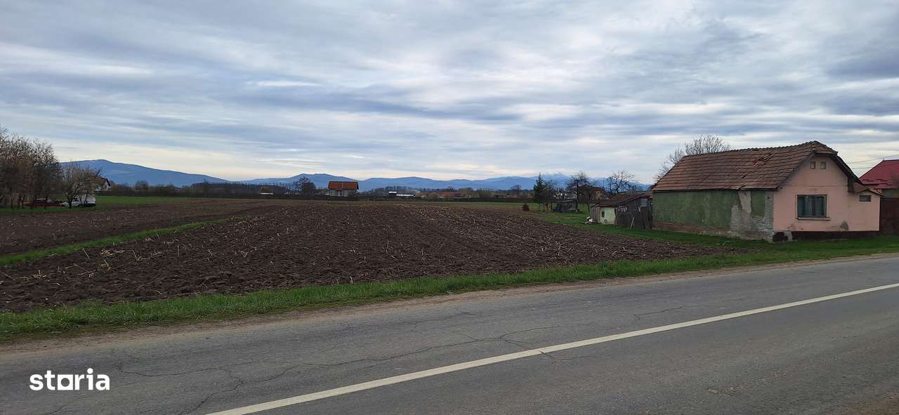 Teren intravilan pentru case in centrul Podu Oltului de 5700mp, 28 Eur - Imagine principală: 2/8