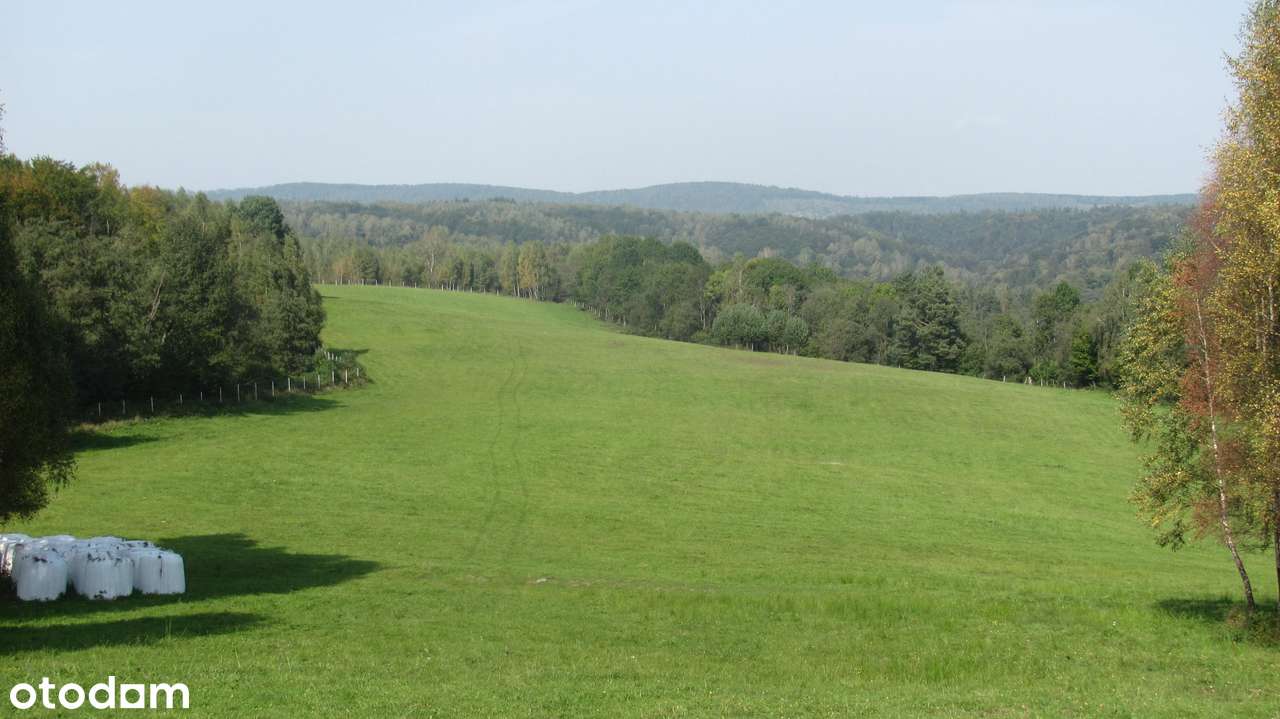 Siedlisko w Bieszczadach-4