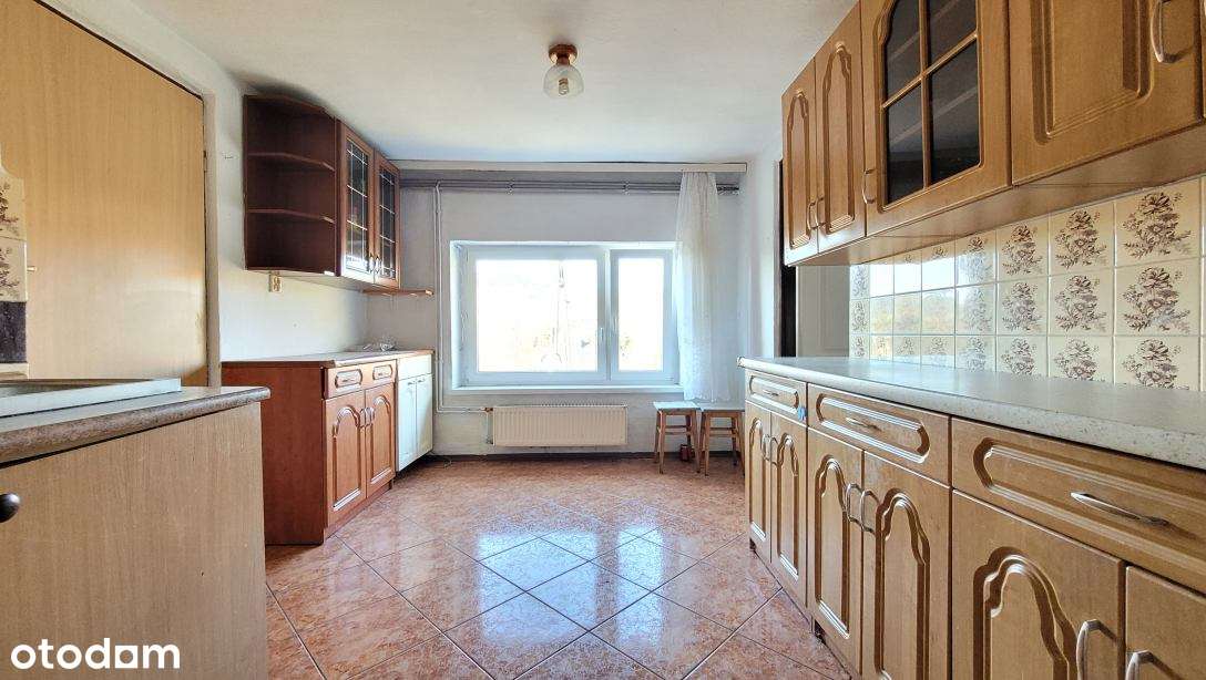 Pół domu + działka + kamienna stodoła + 2garaże w Dziwiszowie-9