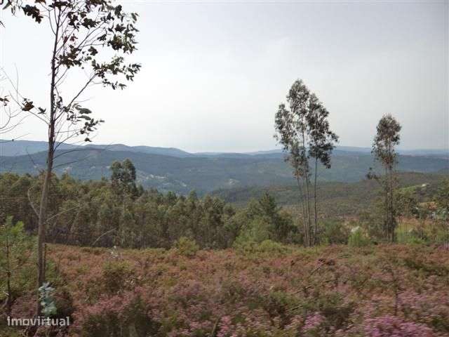 Terreno em Celorico de Basto - Grande imagem: 5/12