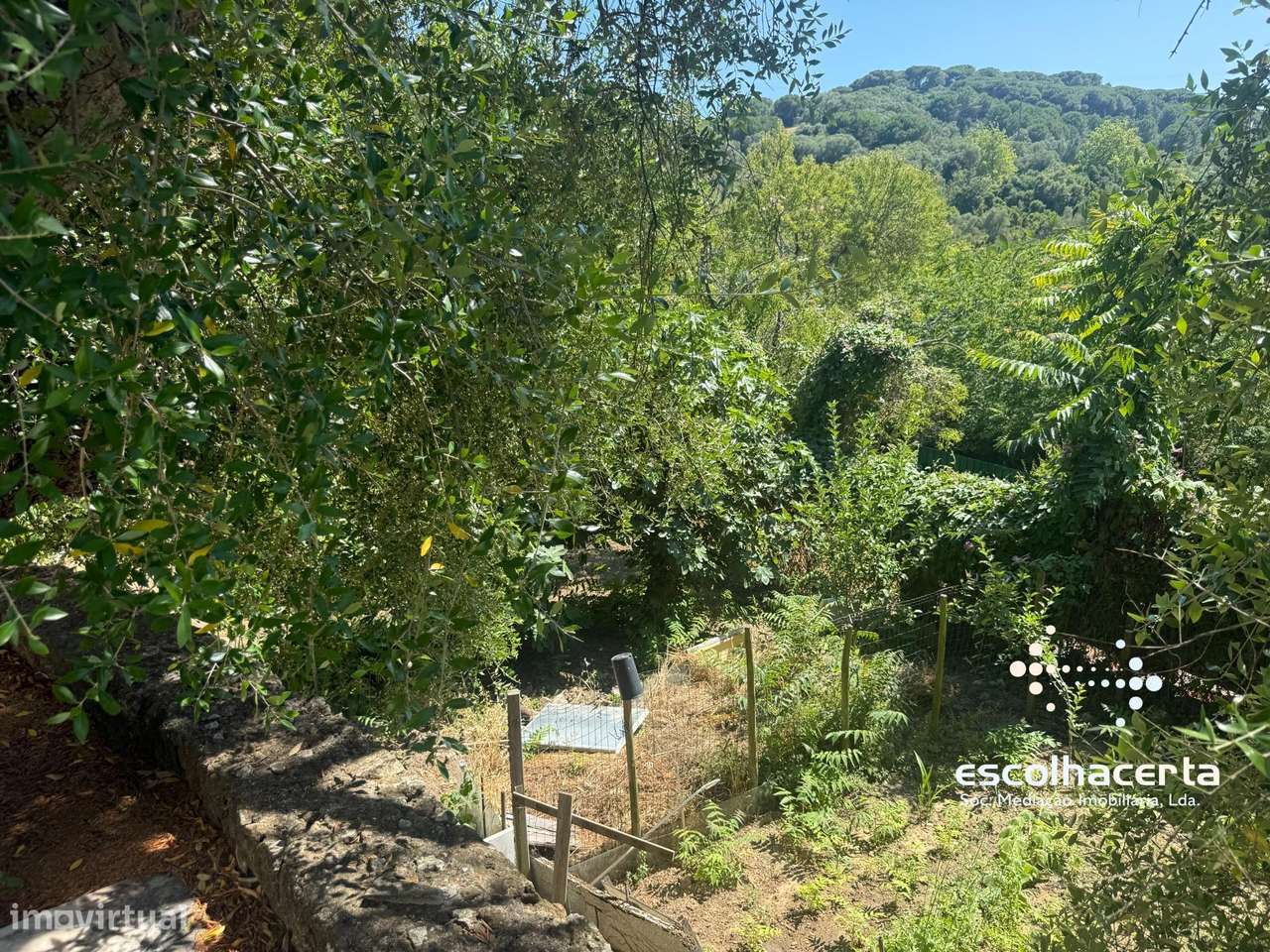 Quinta unica em pleno coração da Arrabida-41