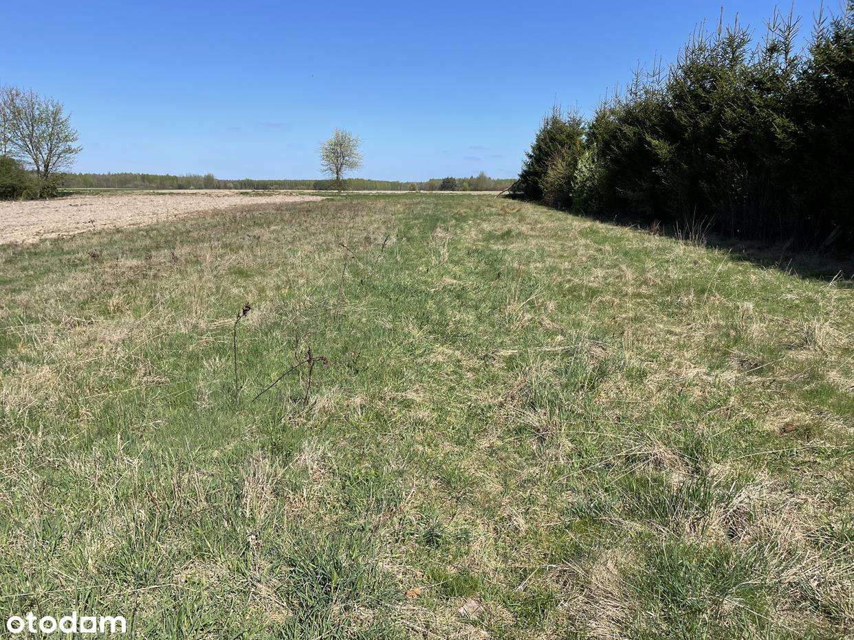 Czeremcha-Wieś - działka 2566 m2 w linii zabudowy!Nowa atrakcyjna cena - Pełny obrazek: 5/20