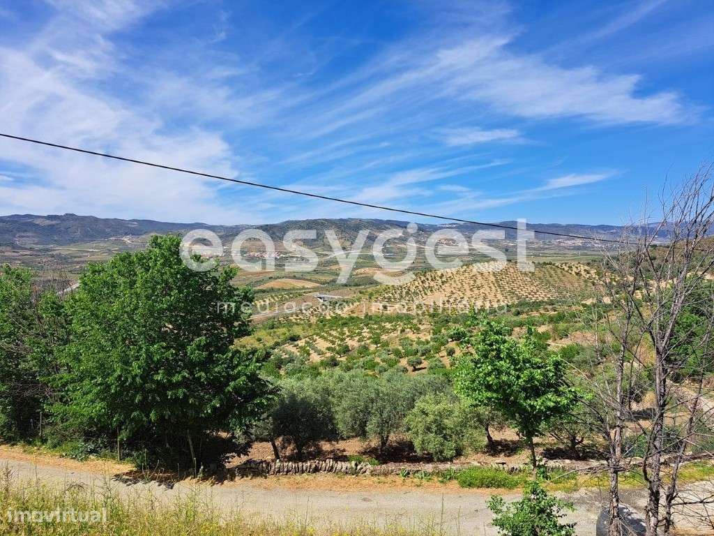 Moradia para recuperar na aldeia de Nozelos, Torre de Moncorvo. - Grande imagem: 4/17