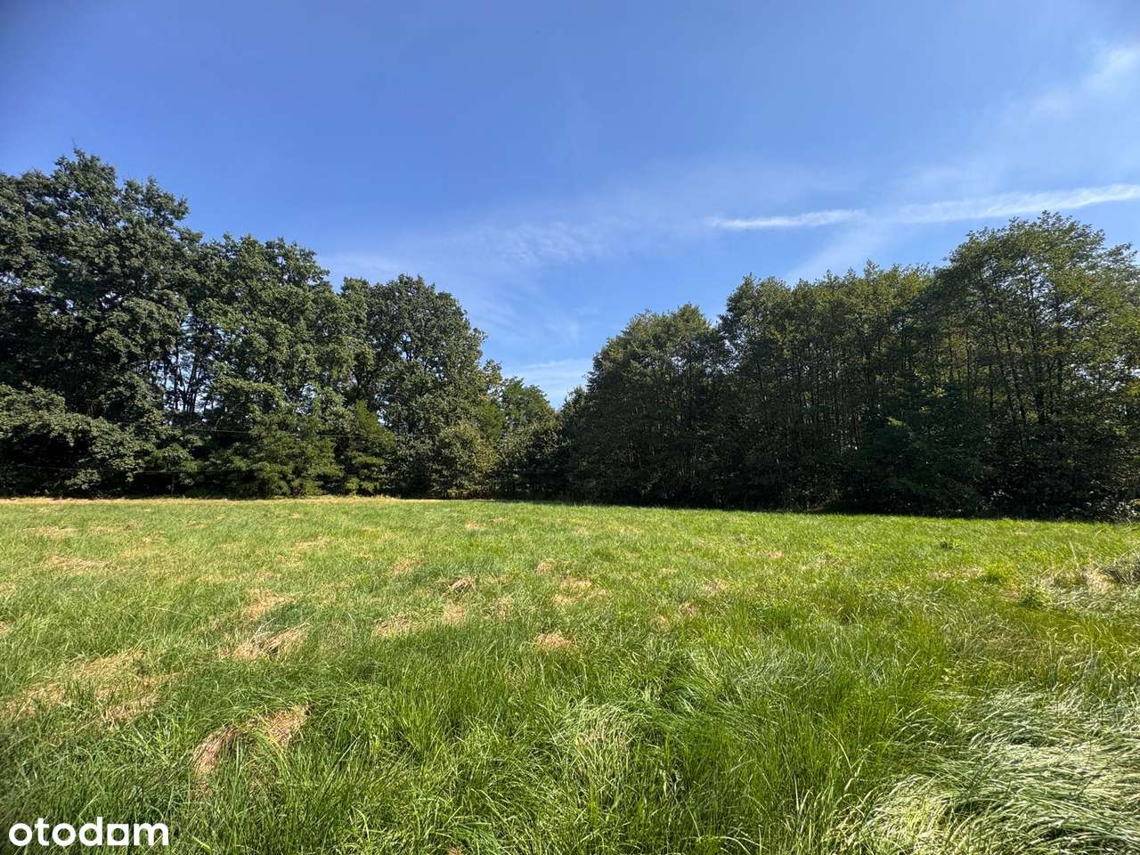 Działka budowlana pod lasem Babice-1