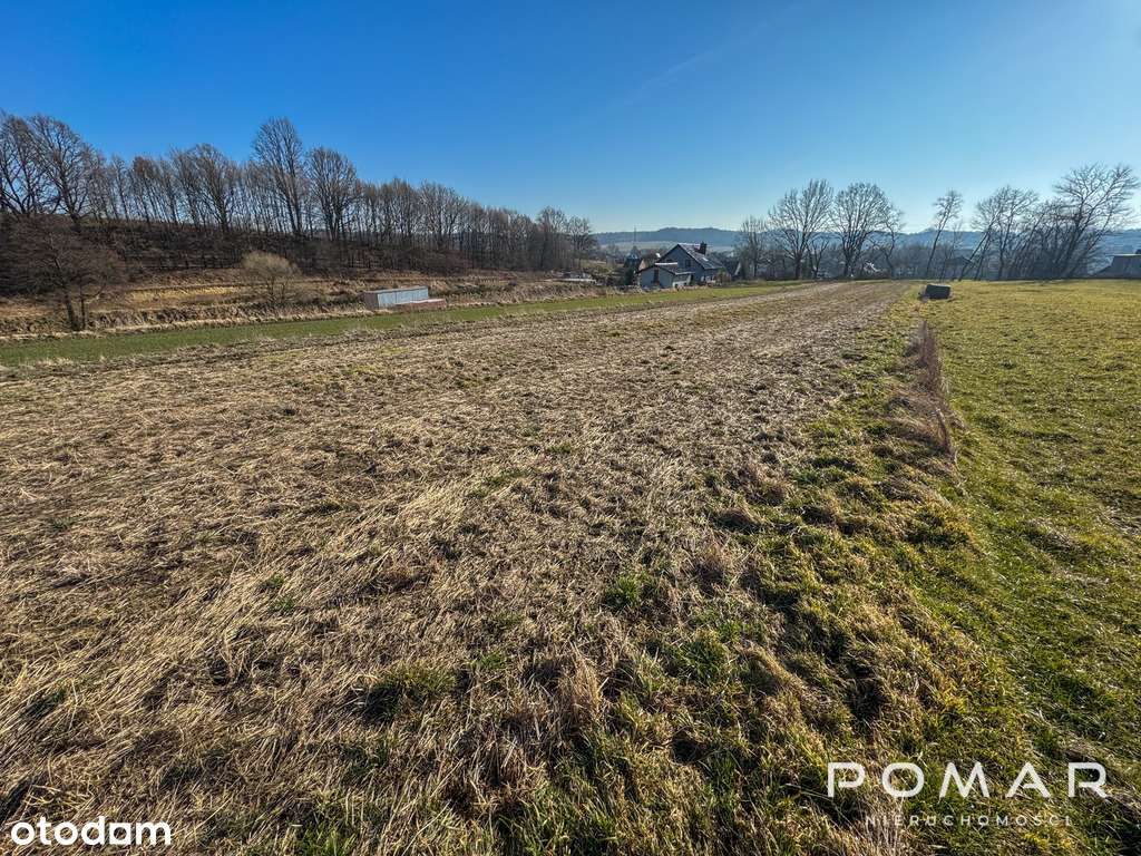 Duża działka w spokojnej okolicy! Tu jest pięknie!-10