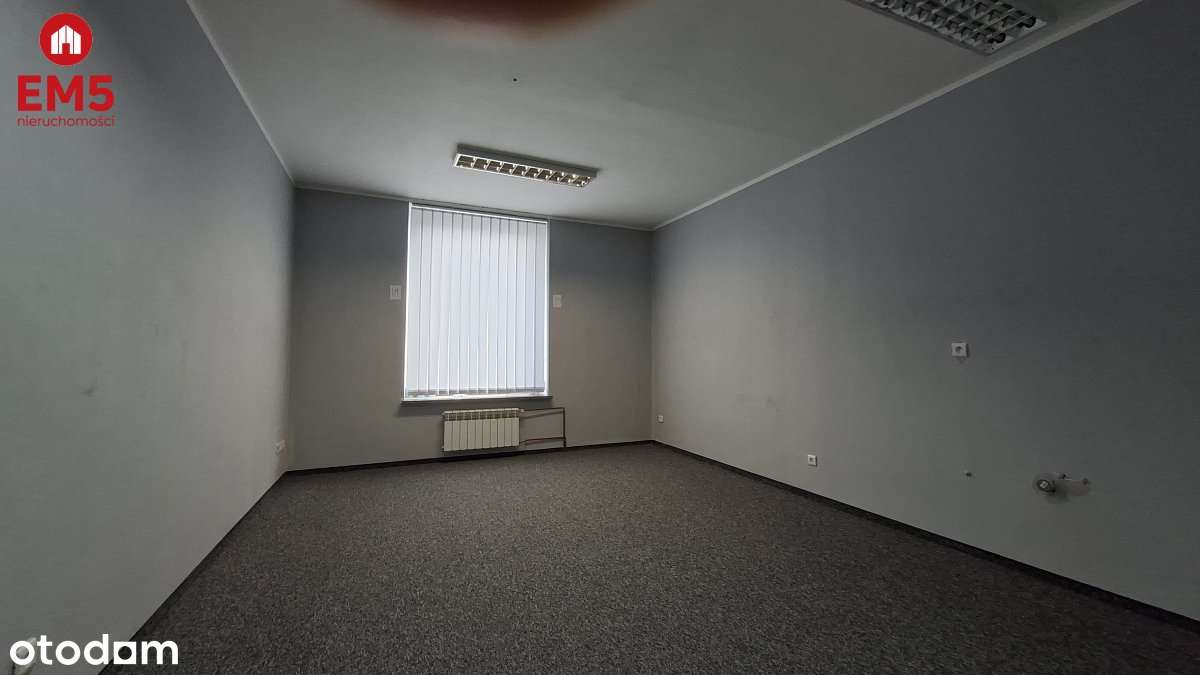 Lokal biurowy 300 m2 na wynajem - Pełny obrazek: 4/9