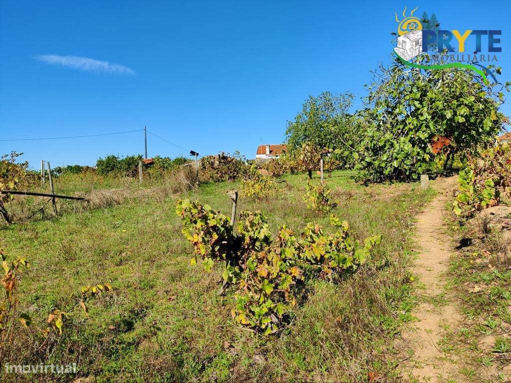 Ruína demolida com uma tira de terreno situada em Belver - Grande imagem: 5/13