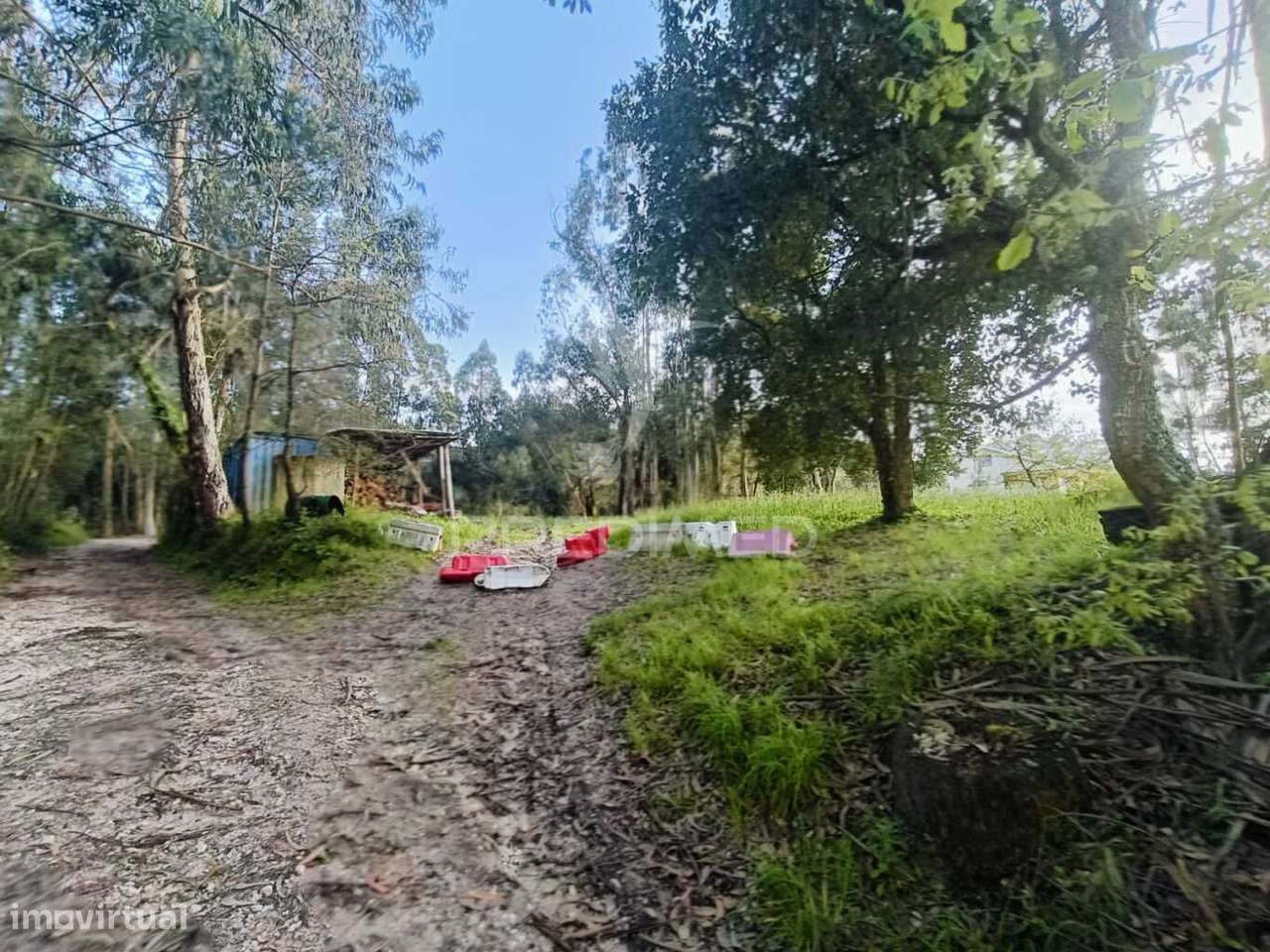 Terreno com 2850m2 para construção de uma moradia em Gondemaria - Grande imagem: 5/17