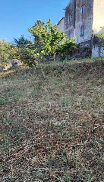 Quer construir a casa dos sonhos? Esse é o terreno - Grande imagem: 5/10