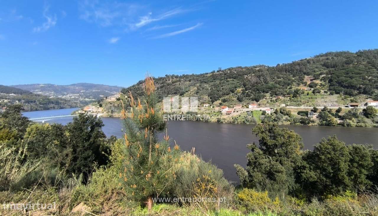 Venda de Terreno p/ construção, em frente ao, Oliveira do Douro, Cin - Grande imagem: 4/39