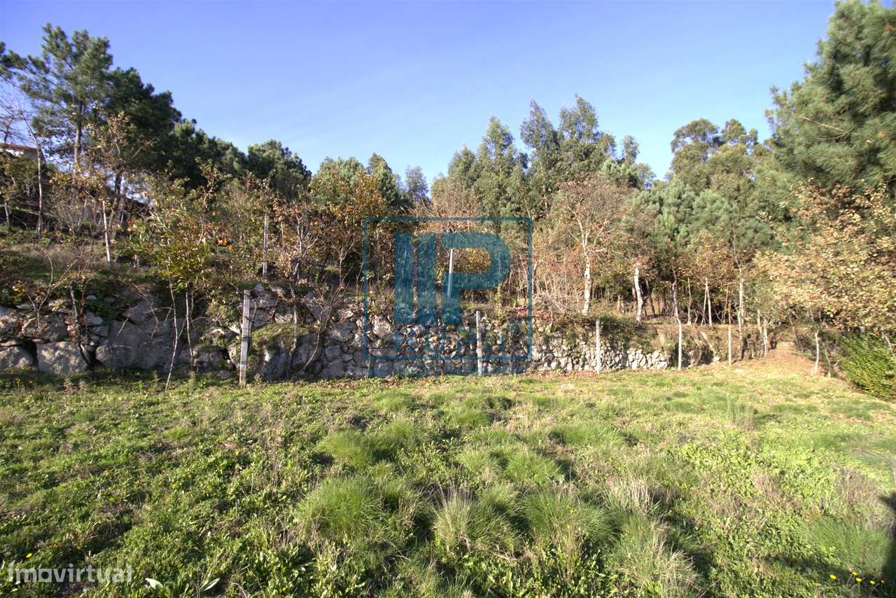 Quinta T3+1 Venda em Penhalonga e Paços de Gaiolo,Marco de Canaveses-47