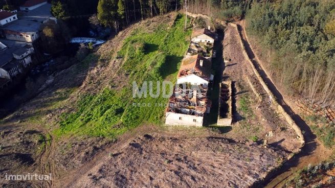 Quinta com 2 hectares para recuperar junto ao Rio Caima-1