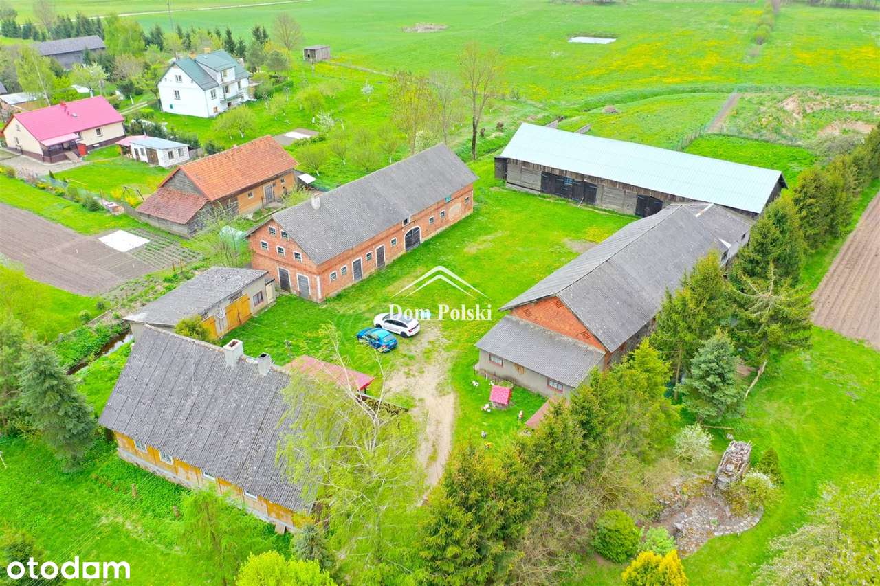 Przedwojenne siedlisko 4,9 ha - Wilkasy