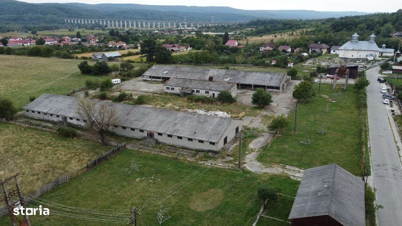 Hale de vânzare in comuna Ciofrângeni, județ Argeș. - Imagine principală: 3/8