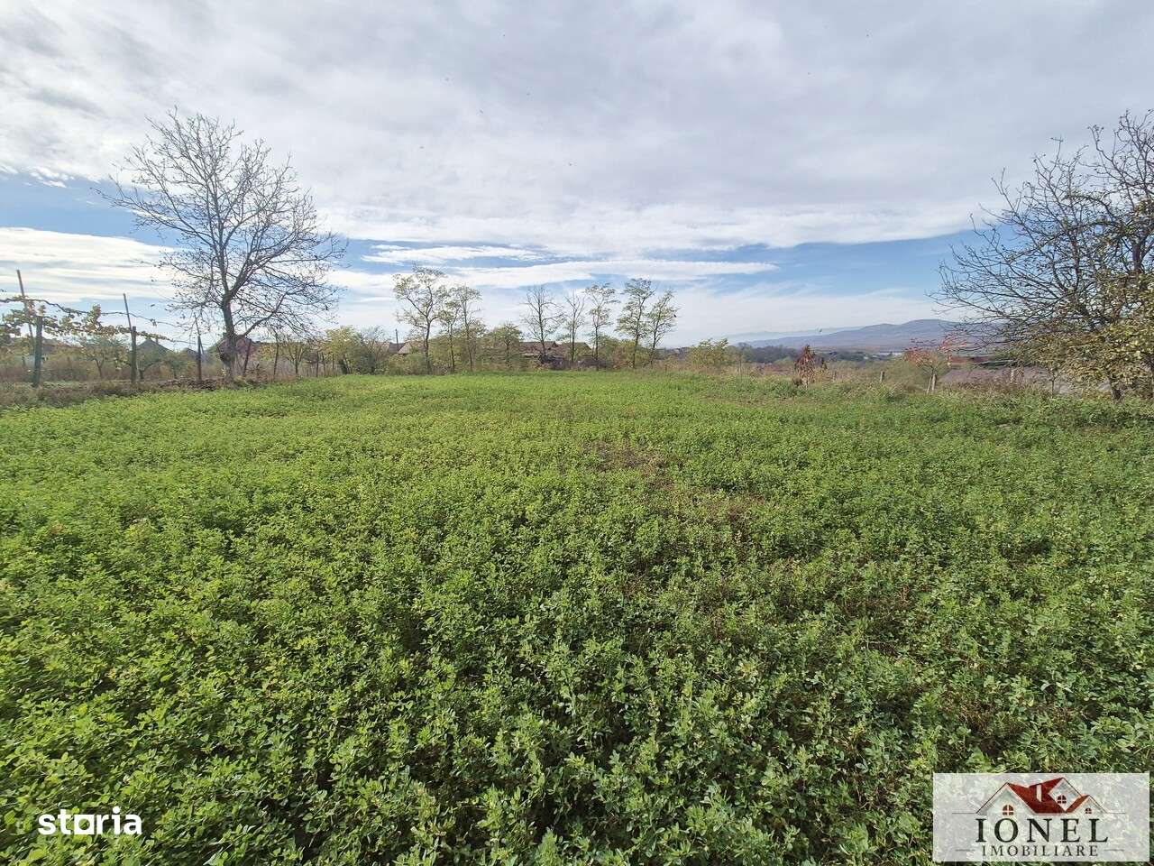 Casa noua in Bucerdea Granoasa-16