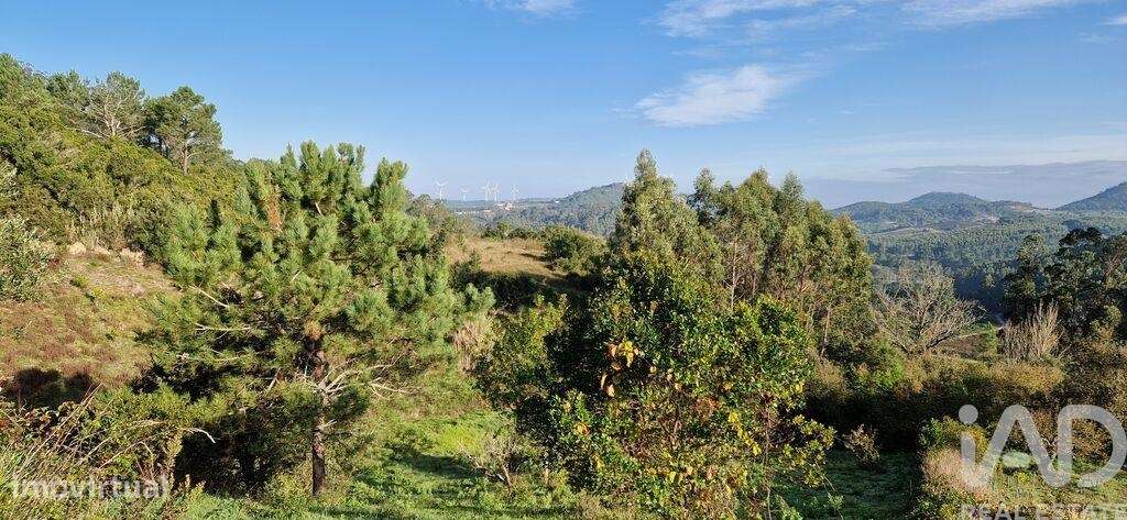 Terreno em Mafra de 5857,00 m2 - Grande imagem: 3/26