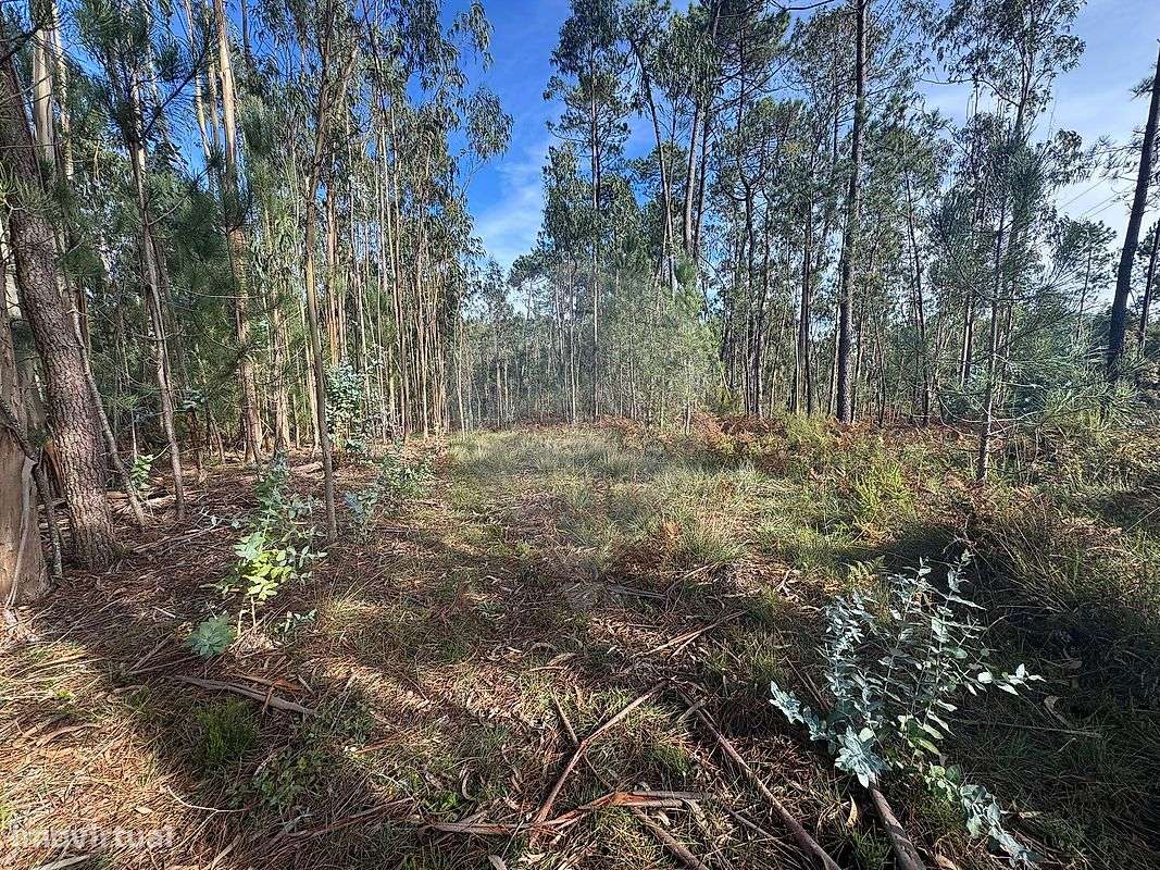 Terreno  para venda - Grande imagem: 4/5