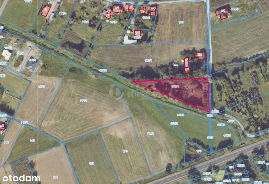 Działka rolno-budowlana 32 ary z domkiem i sadem - Pełny obrazek: 4/17