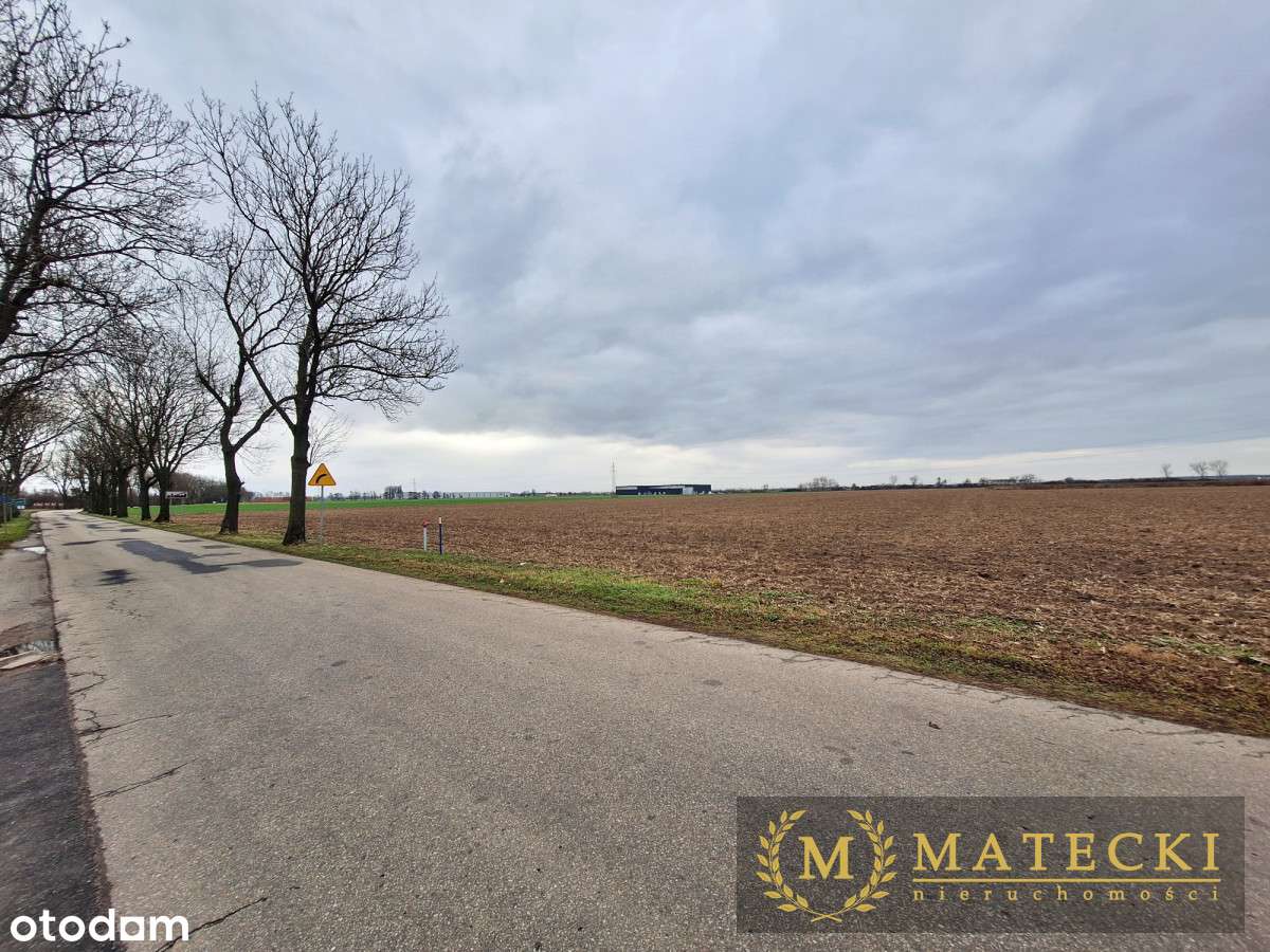 Działka AG  - 7 km od Poznania-2