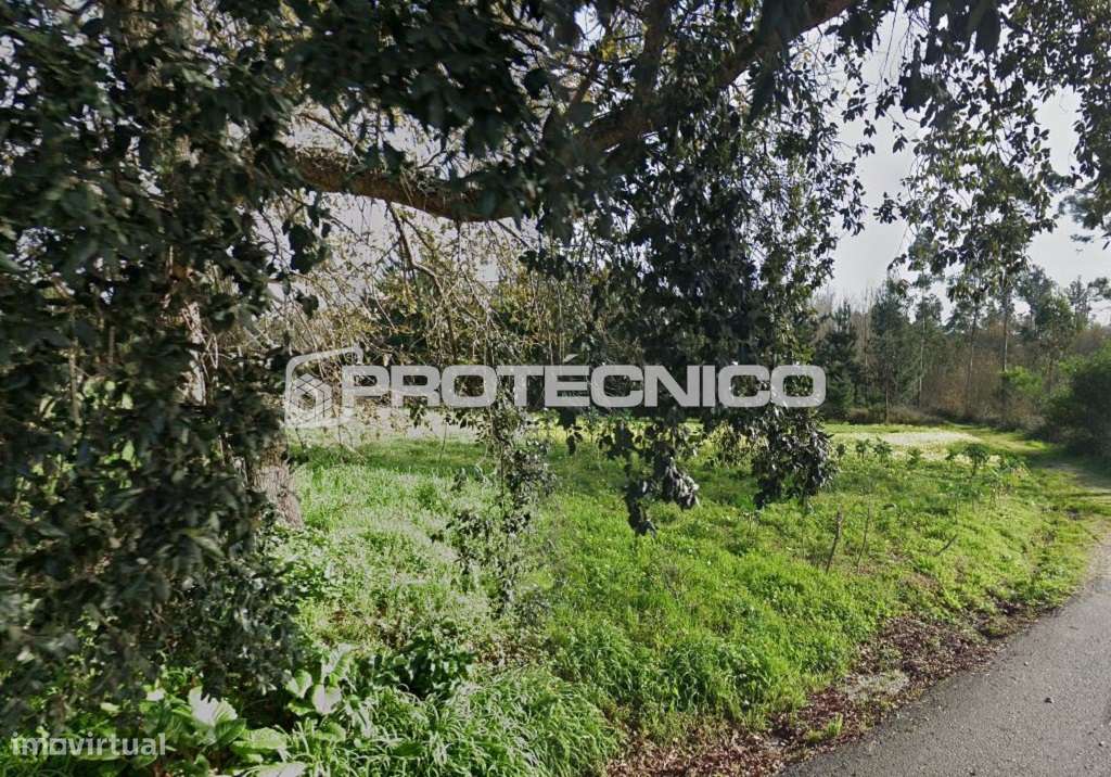 Terreno c/ 1.400m2 – Carregal - Grande imagem: 2/6