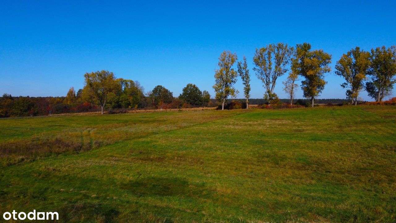 Działka Raszówka - inwestycja - gaz, kanalizacja - Pełny obrazek: 4/5