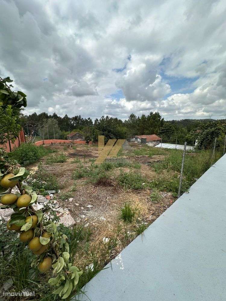Moradia T3+1 com possibilidade de piscina-3