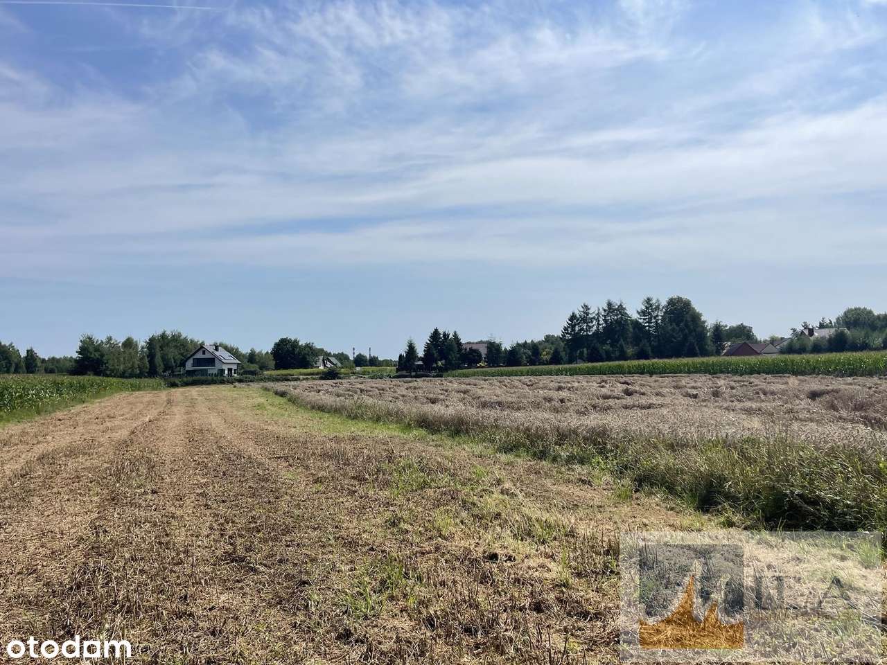 Dąbrowa Szlachecka działka budowlana 31 ar przy jeziorku - Pełny obrazek: 5/8