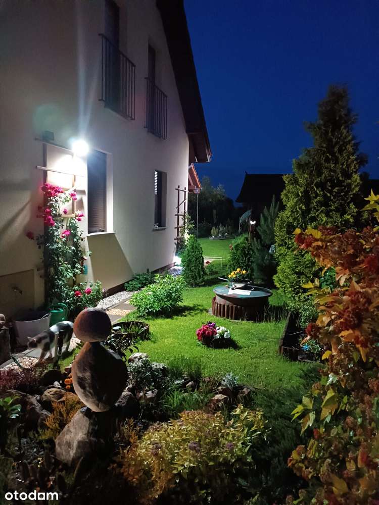 "Do zakochania jeden krok". - Pełny obrazek: 4/20