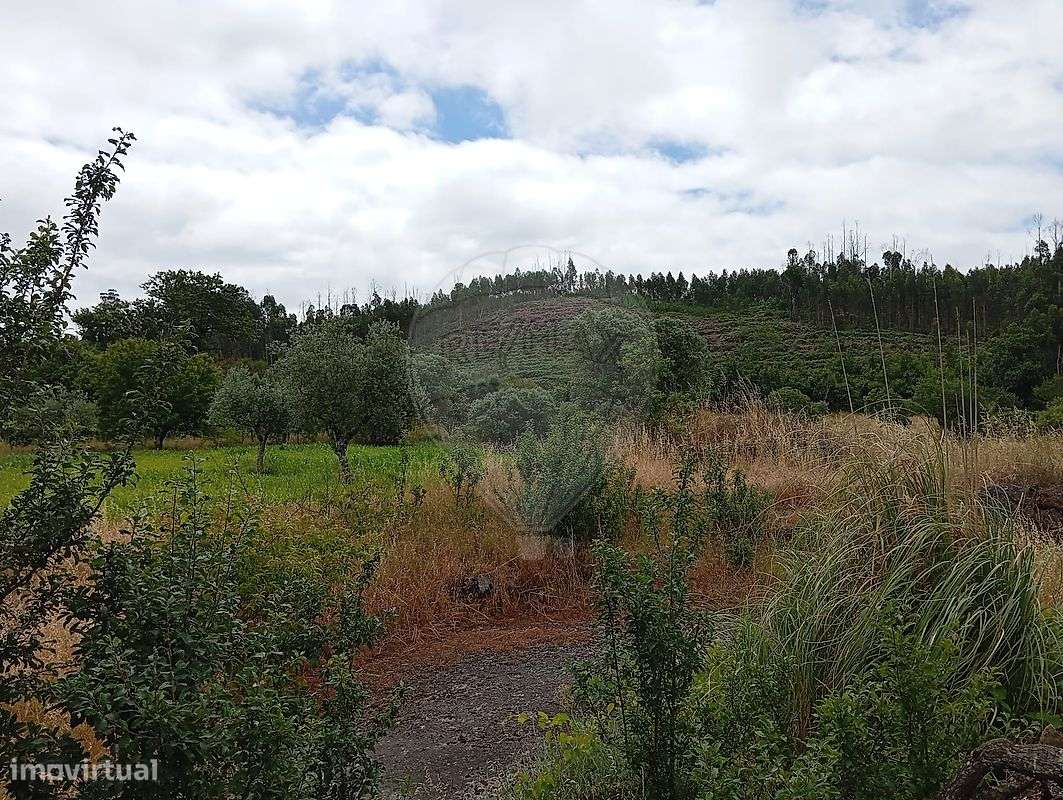 Quinta  para venda - Grande imagem: 4/25