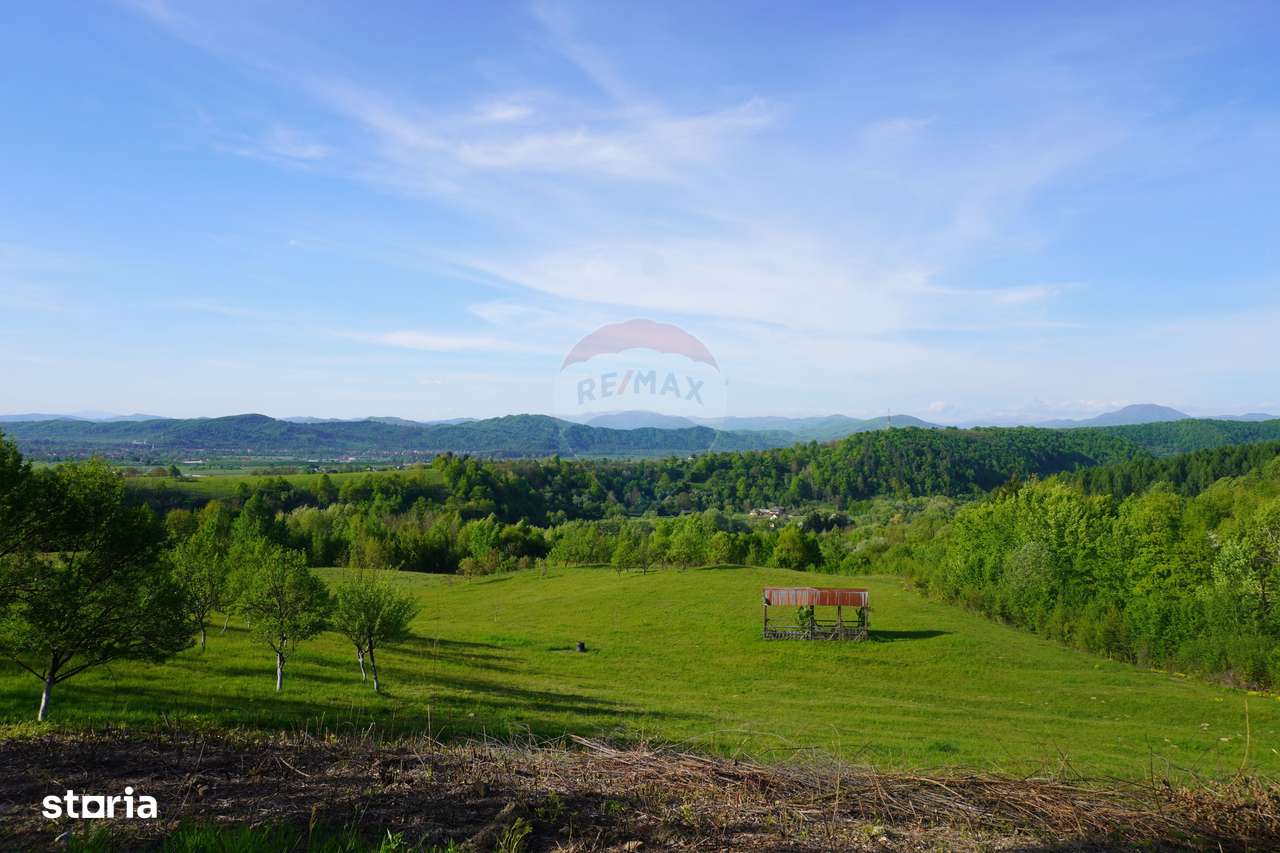 Teren 15,000mp Sighetu Marmatiei / Strada Mocăniței - Imagine principală: 1/13