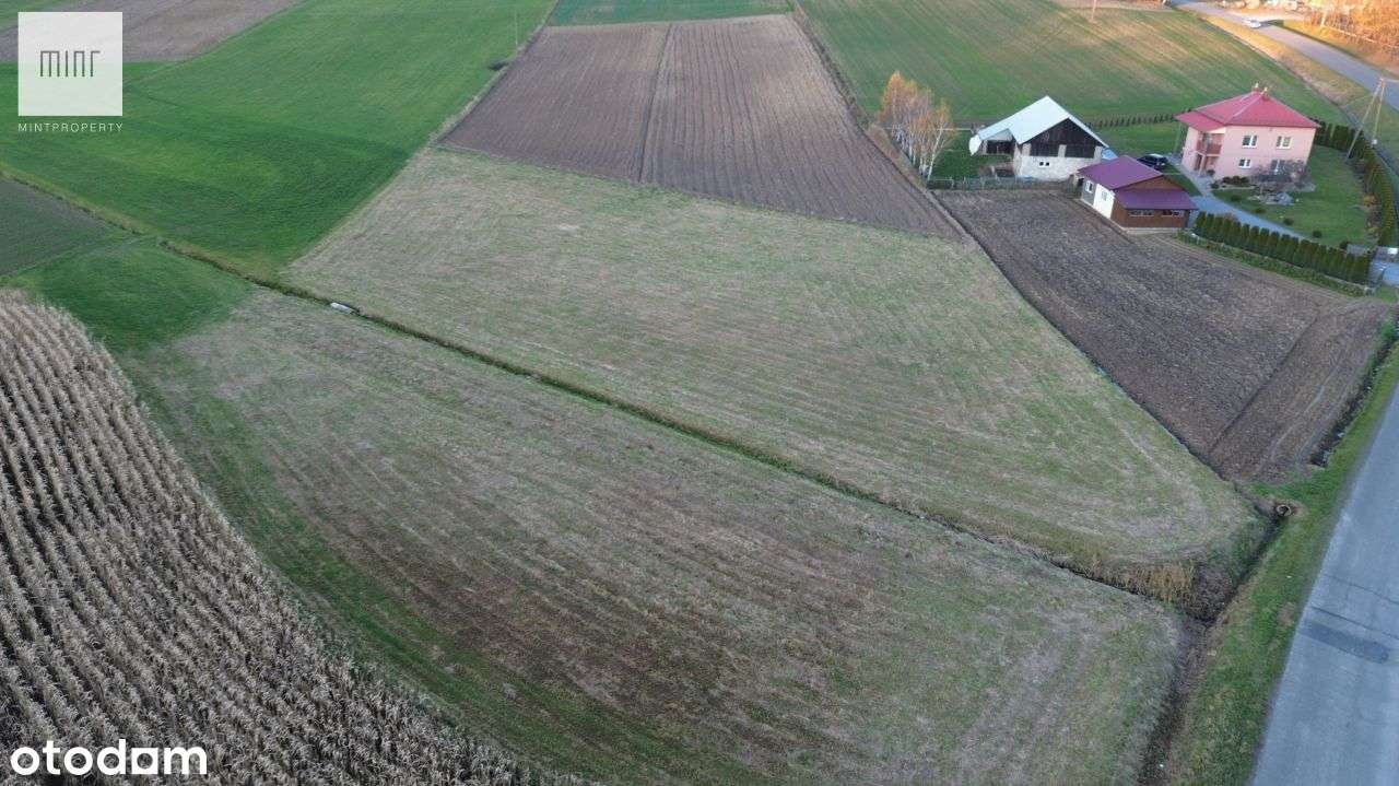Działki budowlane na sprzedaż z Wz, Niedźwiada - Pełny obrazek: 4/7
