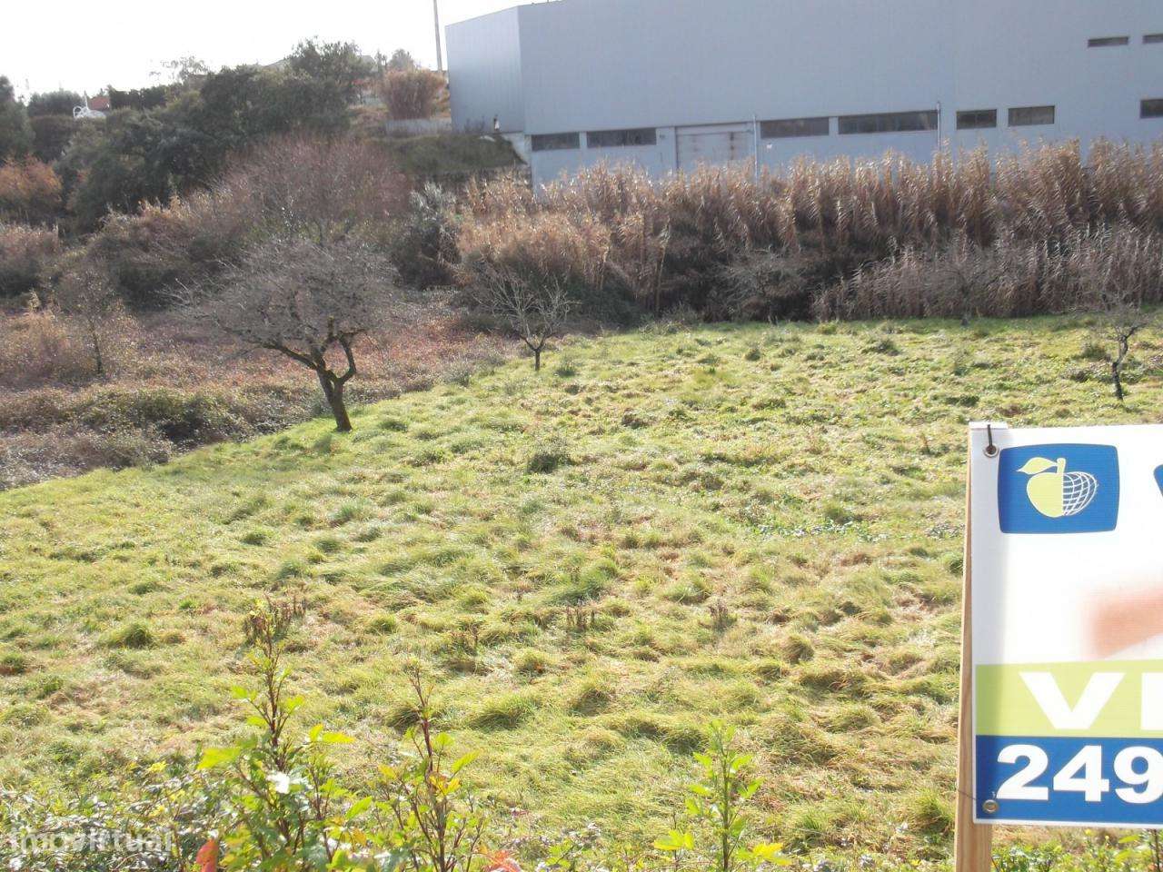 Terreno muito bem localizado - Ourém - Grande imagem: 3/8